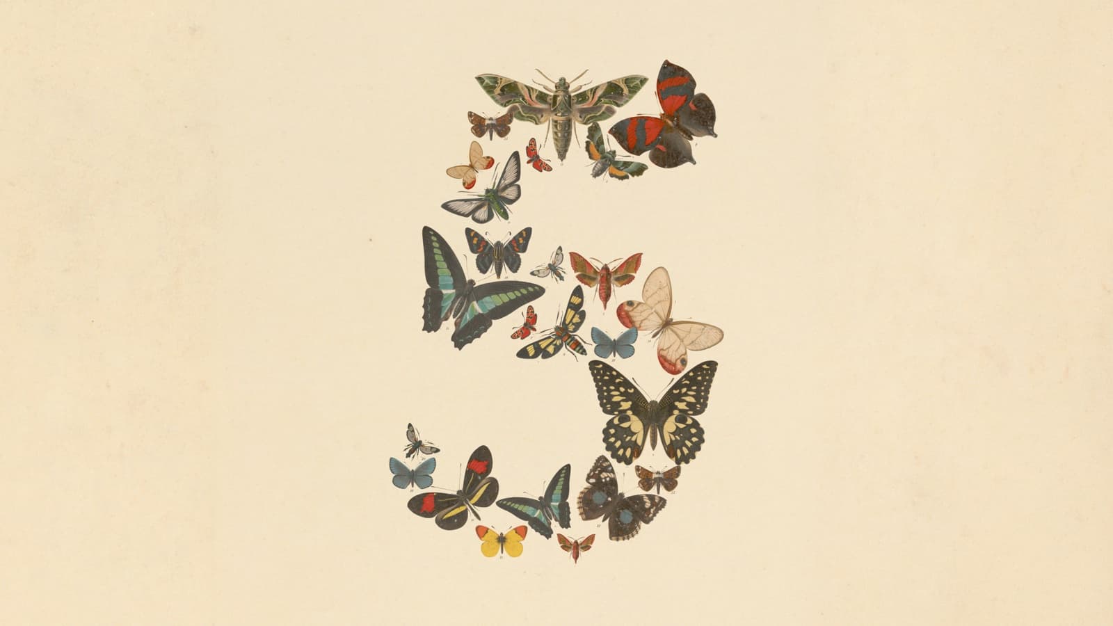 Claude Fable 5 launch art: the numeral five composed of vintage botanical illustrations of butterflies and moths on a cream background